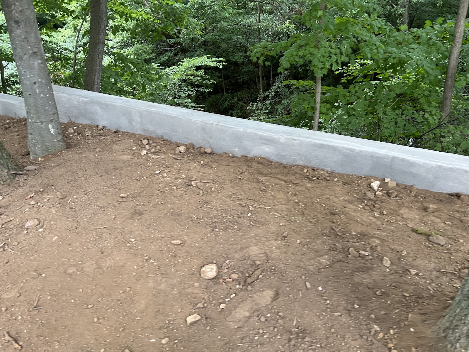 Finished poured concrete retaining wall following a wooded hillside grade